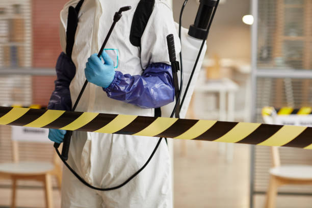 Professional Hoarding Cleanup technician working in Driscoll, TX